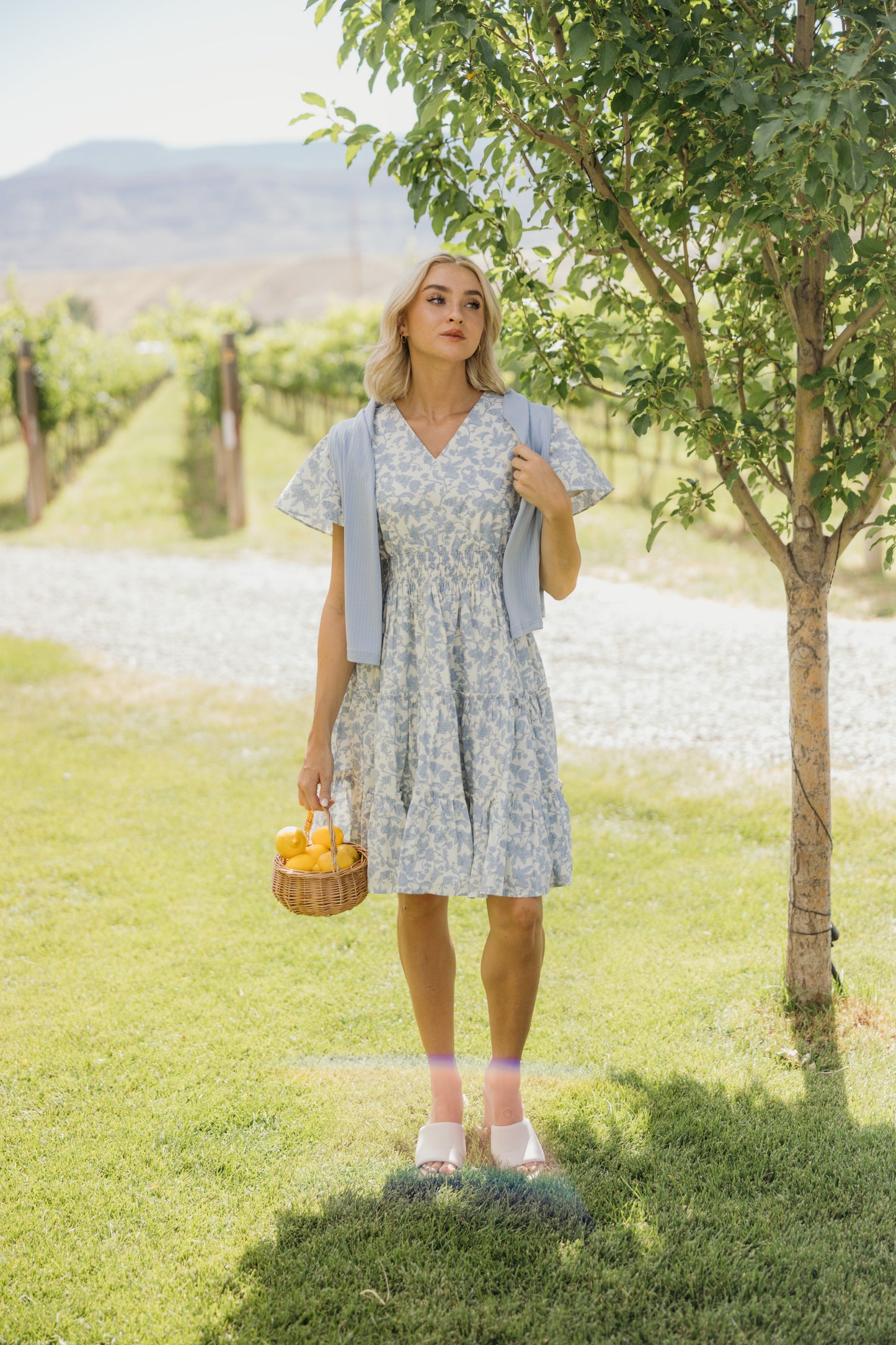 THE JEMMA IN FORGET ME NOT