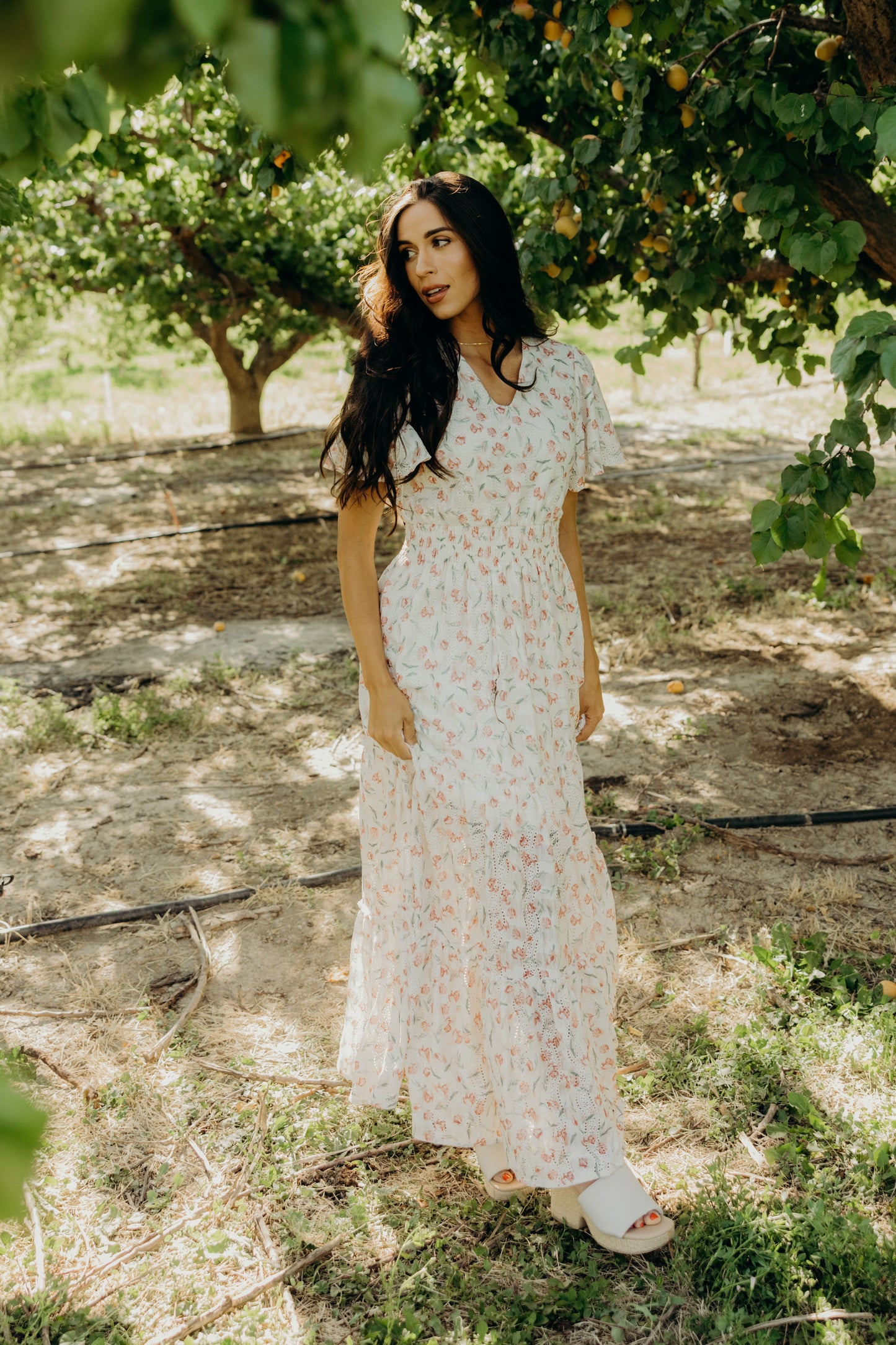 THE EDEN IN STRAWBERRY THICKET