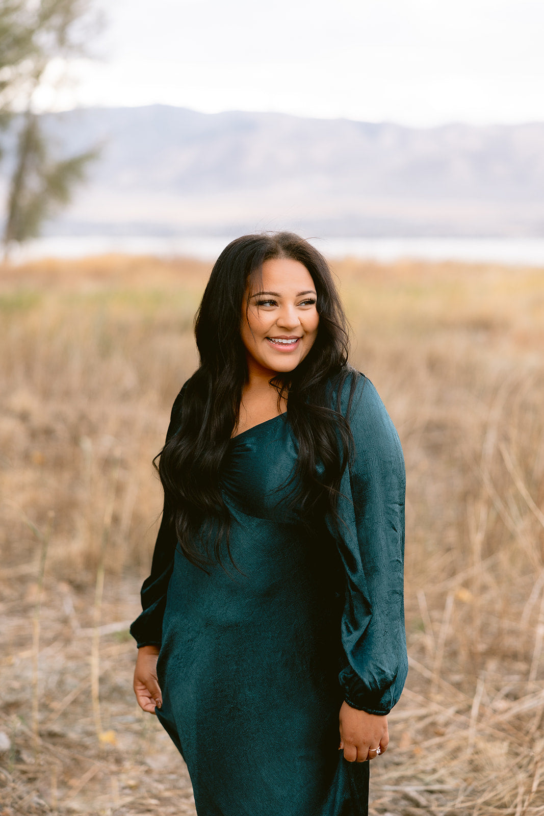 Sophia Midi in Dark Teal